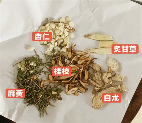 麻黃加朮湯